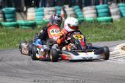 20110501_ales_agnus (2956)